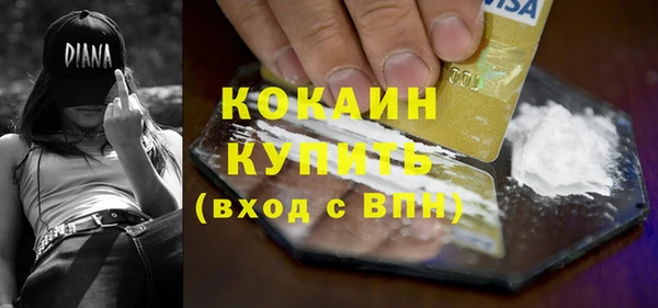 кокс Ельня