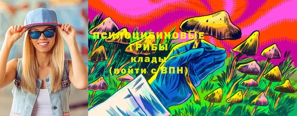 кокс Ельня