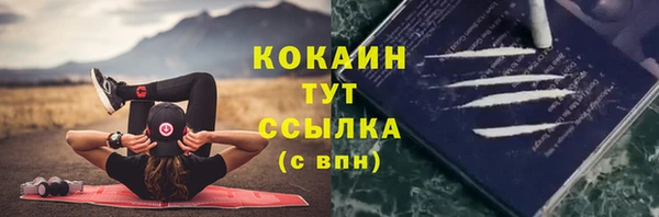кокс Ельня