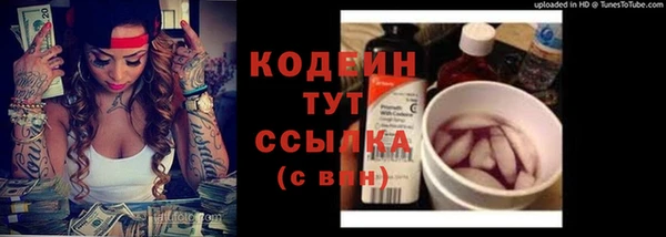 мдпв Елизово