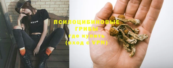 МДПВ Саяногорск