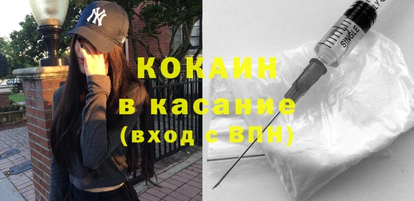 кокс Ельня