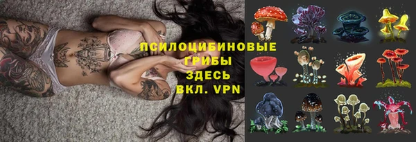 мдпв Елизово