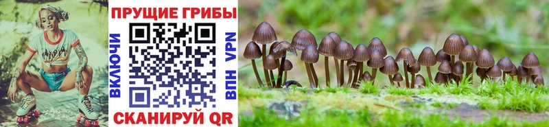 Псилоцибиновые грибы ЛСД  Мантурово 